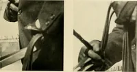 An illustration from Driving (1903)