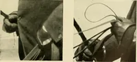 An illustration from Driving (1903)