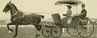 An illustration from Driving (1903)
