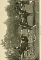 An illustration from Driving (1903)