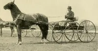 An illustration from Driving (1903)