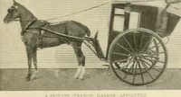 An illustration from Driving (1903)