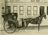 An illustration from Driving (1903)