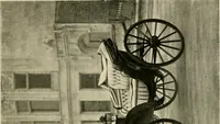 An illustration from Driving (1903)
