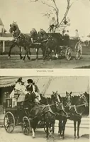 An illustration from Driving (1903)