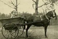 An illustration from Driving (1903)