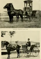 An illustration from Driving (1903)