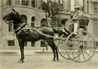 An illustration from Driving (1903)