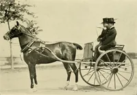 An illustration from Driving (1903)
