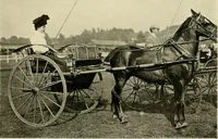 An illustration from Driving (1903)