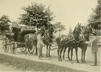 An illustration from Driving (1903)