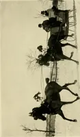 An illustration from Driving (1903)
