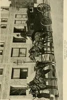 An illustration from Driving (1903)