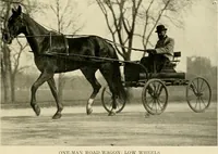 An illustration from Driving (1903)