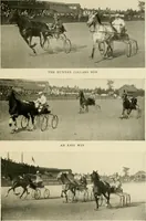 An illustration from Driving (1903)