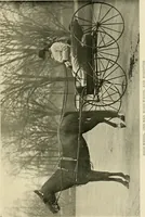 An illustration from Driving (1903)