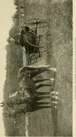 An illustration from Driving (1903)