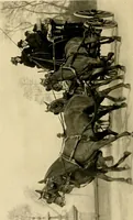 An illustration from Driving (1903)