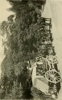 An illustration from Driving (1903)