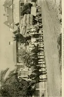 An illustration from Driving (1903)