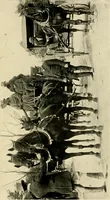 An illustration from Driving (1903)