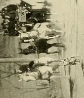 An illustration from Driving (1903)