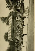 An illustration from Driving (1903)