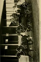 An illustration from Driving (1903)