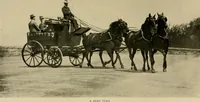 An illustration from Driving (1903)
