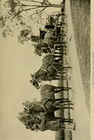 An illustration from Driving (1903)