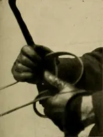 An illustration from Driving (1903)