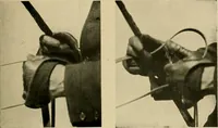 An illustration from Driving (1903)