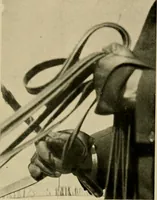 An illustration from Driving (1903)