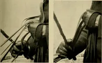 An illustration from Driving (1903)