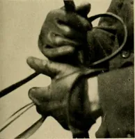 An illustration from Driving (1903)
