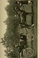An illustration from Driving (1903)