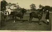 An illustration from Driving (1903)