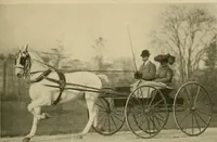 An illustration from Driving (1903)