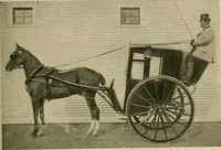 An illustration from Driving (1903)