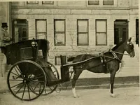 An illustration from Driving (1903)