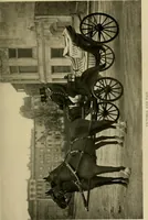 An illustration from Driving (1903)