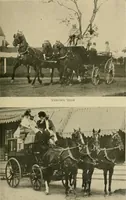 An illustration from Driving (1903)