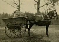 An illustration from Driving (1903)