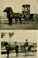 An illustration from Driving (1903)