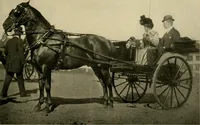 An illustration from Driving (1903)