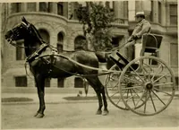 An illustration from Driving (1903)
