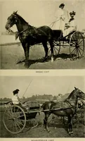 An illustration from Driving (1903)