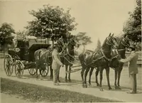 An illustration from Driving (1903)