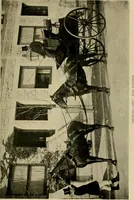 An illustration from Driving (1903)