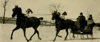 An illustration from Driving (1903)